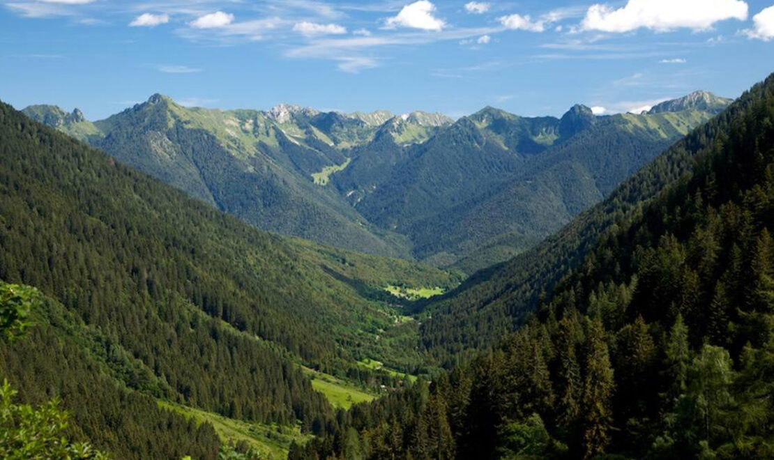 Dintorni